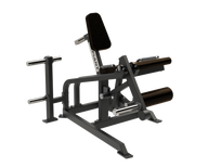 Leg Extension