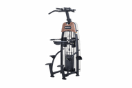 SportsArt N911 Assisted Chin Dip Machine