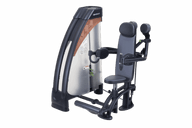 SportsArt N919 Independent Lateral Raise