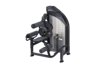 SportsArt DF-306 Back Extension/Ab Crunch