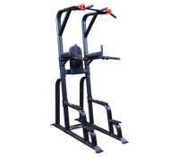 SVKR1000B - Pro ClubLine SVKR1000b Vertical Knee Raise