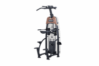 SportsArt N911 Assisted Chin Dip Machine