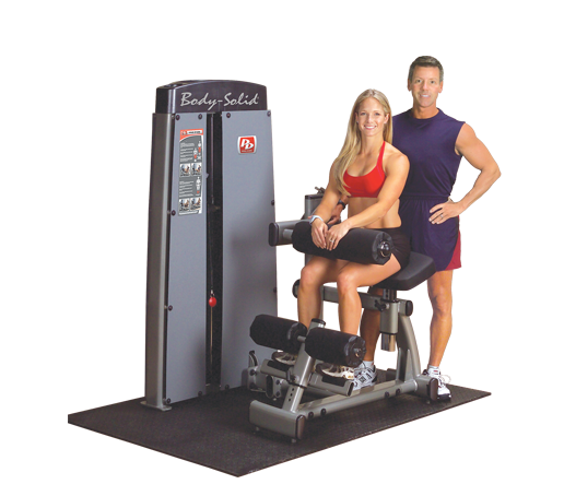 Body-Solid Pro Dual Ab and Back Machine