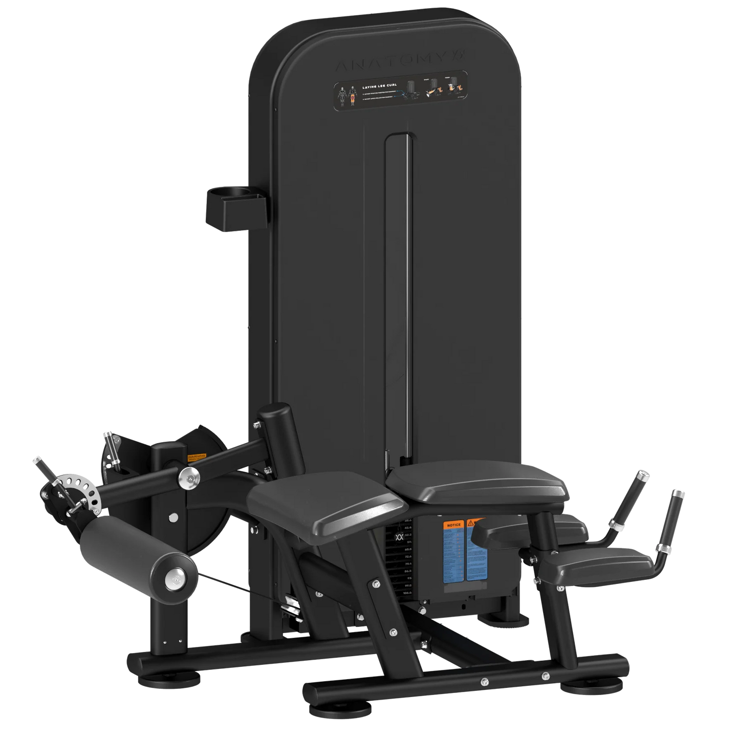 Anatomy Fitness FLEXORA Lying Leg Curl