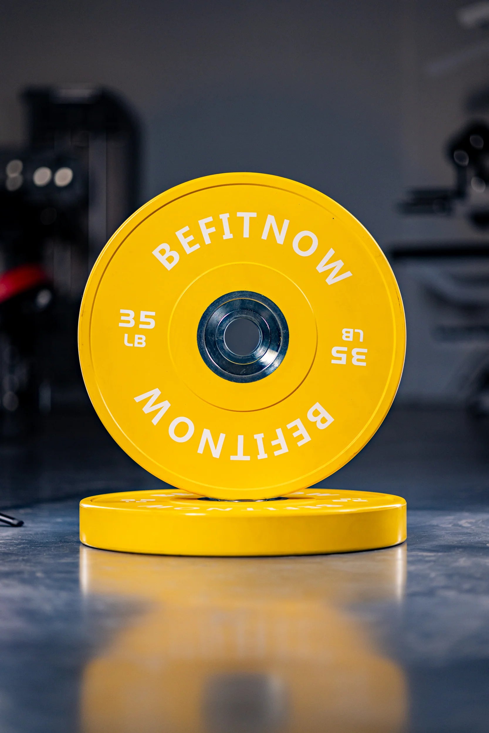 Color Bumper Plates