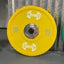 Color Urethane Bumper Plates