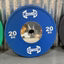 Color Urethane Bumper Plates