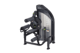 SportsArt DF-306 Back Extension/Ab Crunch