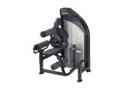 SportsArt DF-306 Back Extension/Ab Crunch