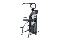 SportsArt DF-307 Assisted Chin-Up/Tricep Dip