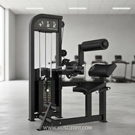 Excel Back/Ab Combo - Muscle D Fitness - Commercial Adjustable Pin Selectorized Back Extension Ab Crunch Combo