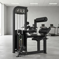 Excel Back/Ab Combo - Muscle D Fitness - Commercial Adjustable Pin Selectorized Back Extension Ab Crunch Combo
