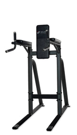The Vertical Knee Raise