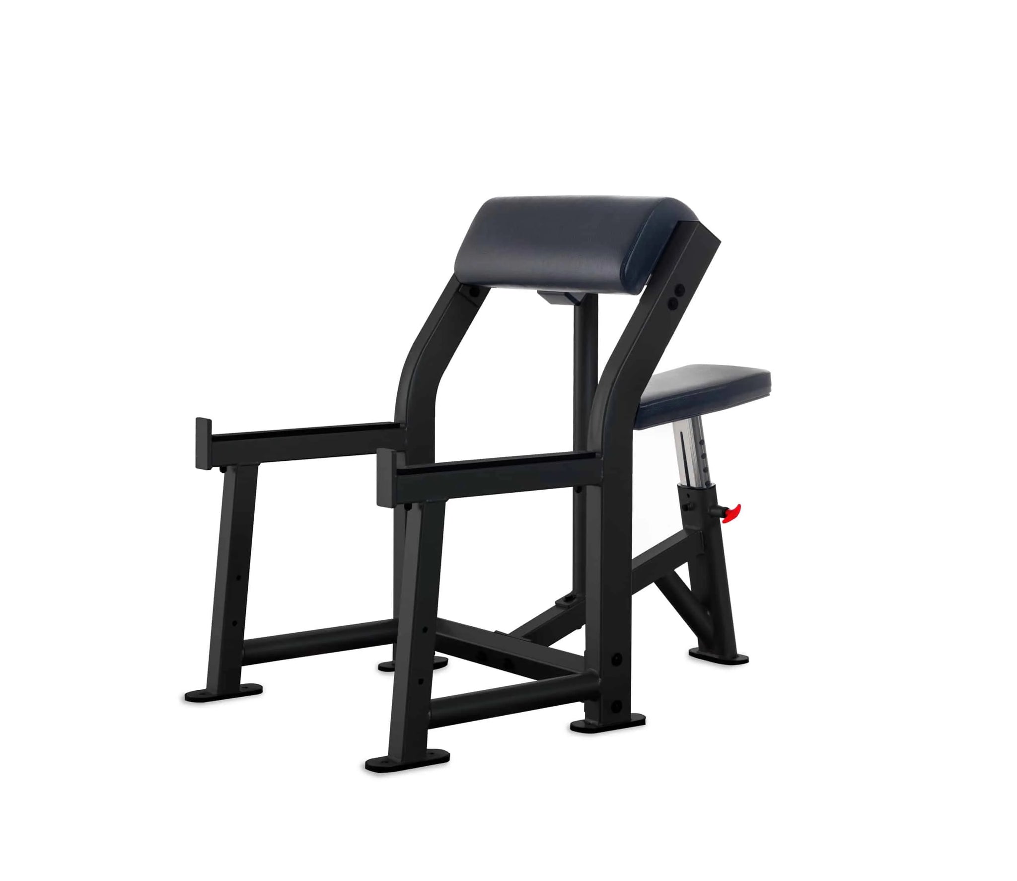 Preacher Curl Bench