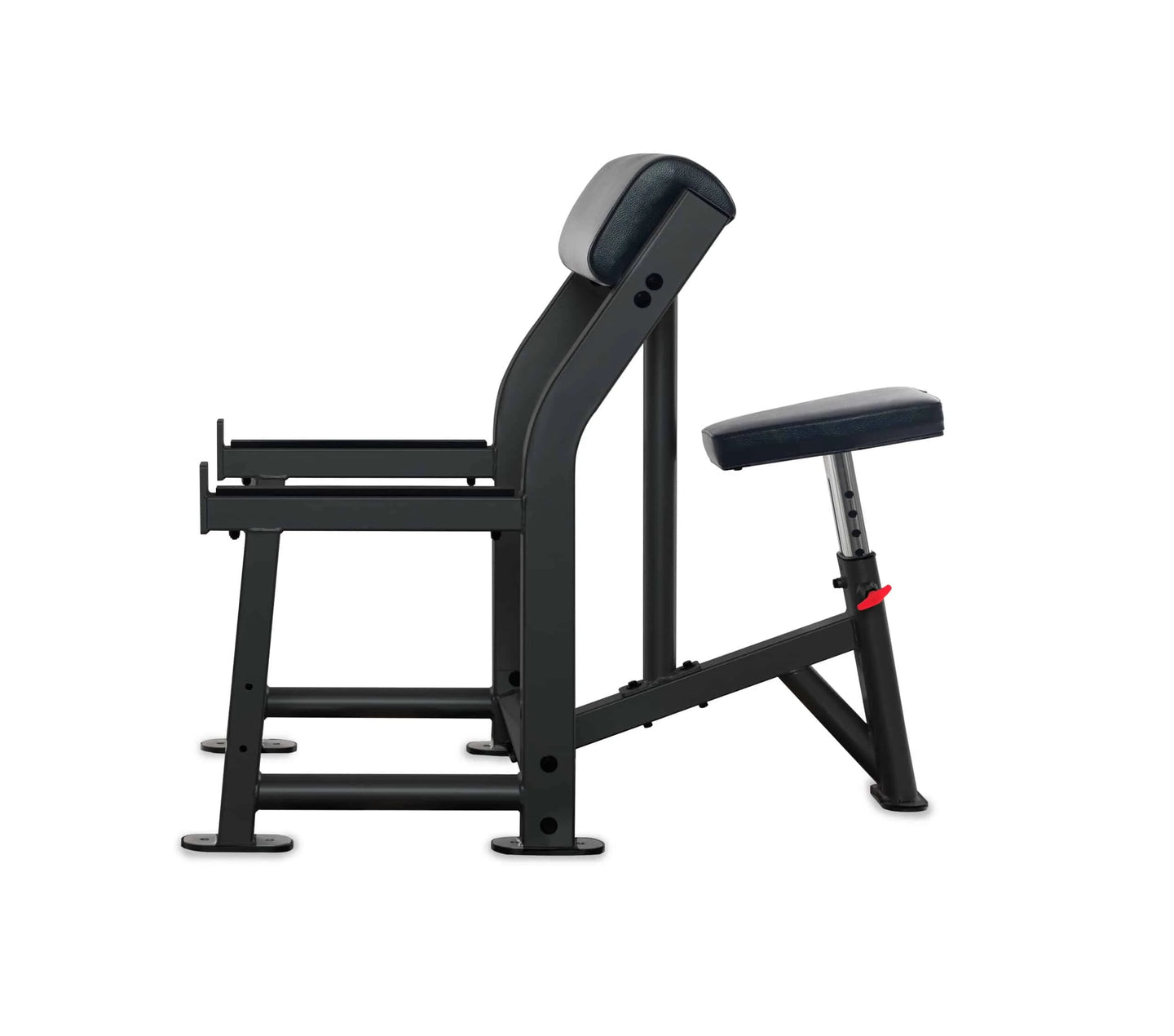 Preacher Curl Bench