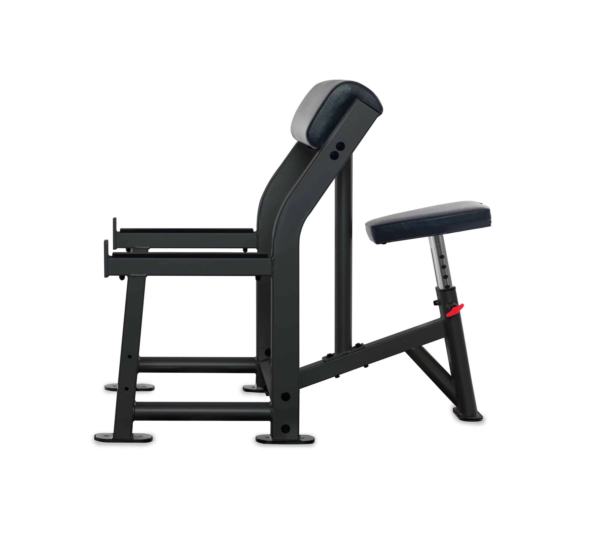 Preacher Curl Bench