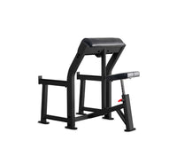 Preacher Curl Bench