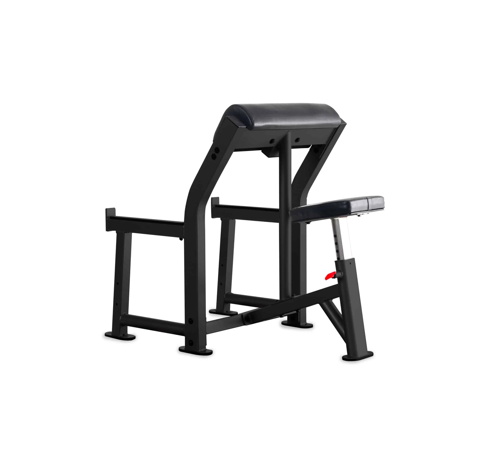 Preacher Curl Bench