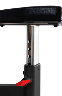 Preacher Curl Bench