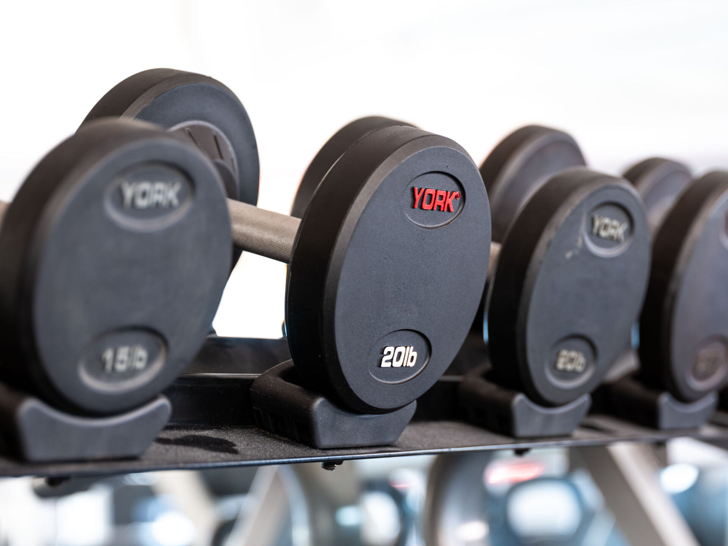 Pro Style Dumbbell Set