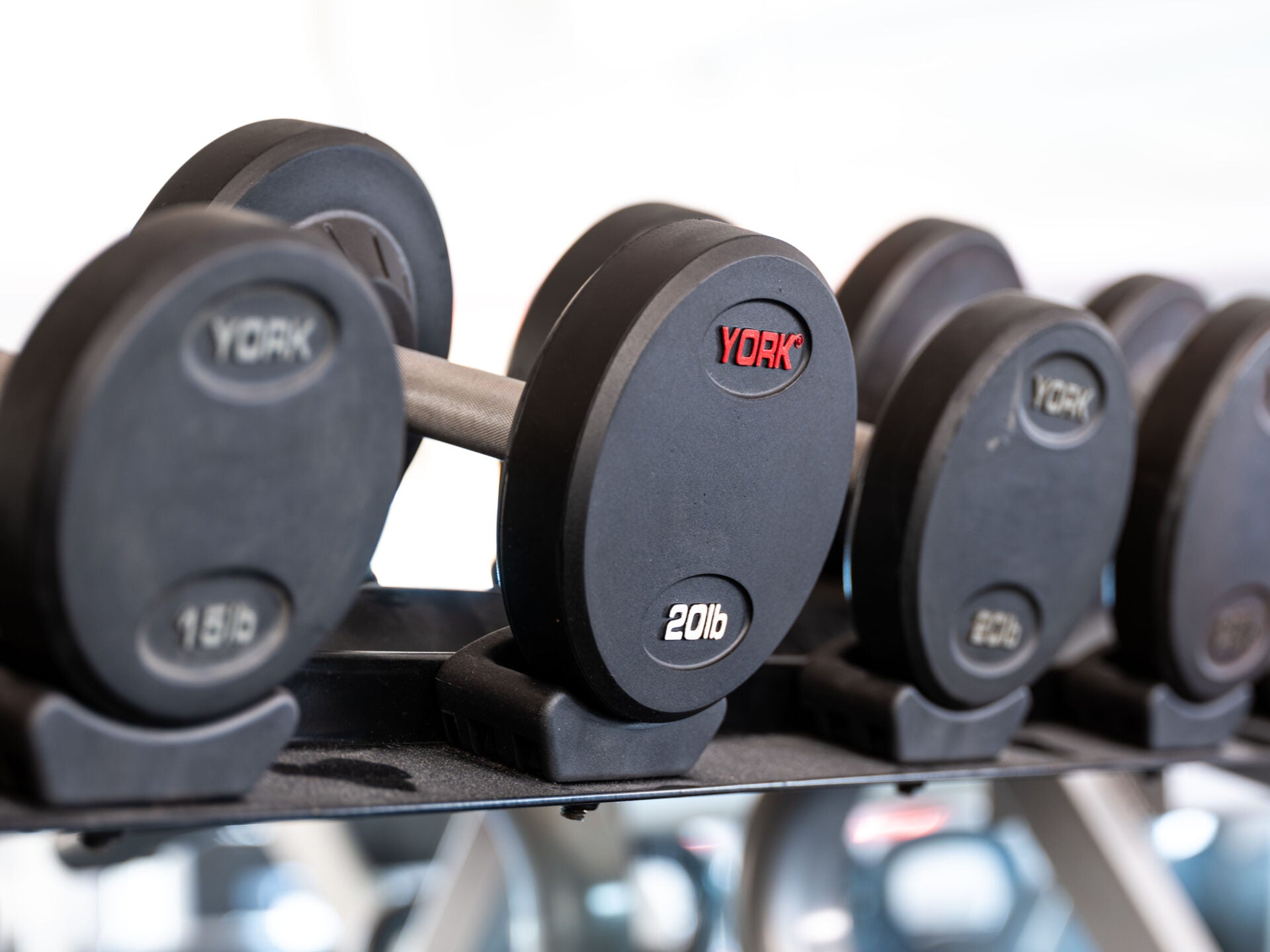 Pro Style Dumbbell Set