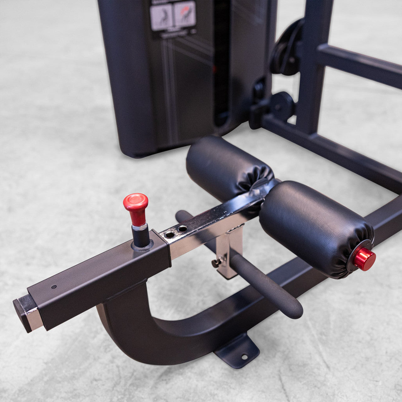 Body-Solid Pro Clubline Series II Arm Curl Machine