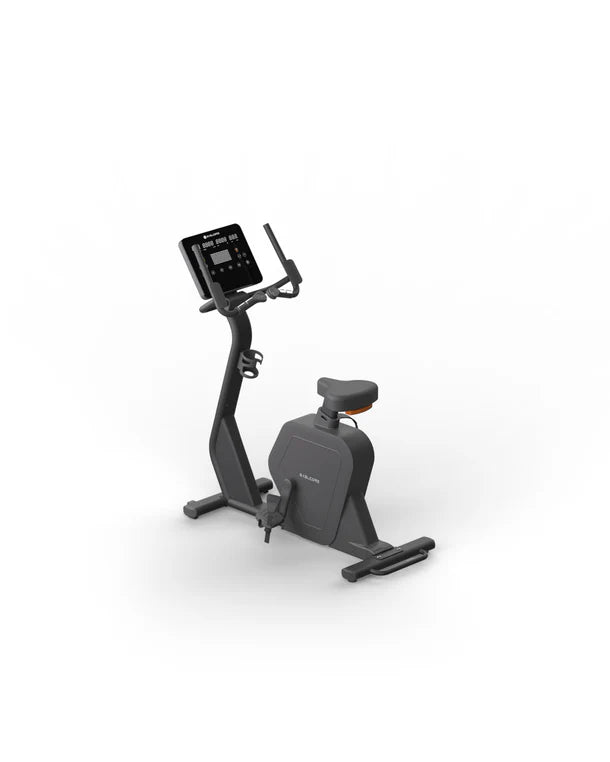 Skelcore Black Series Upright Bike