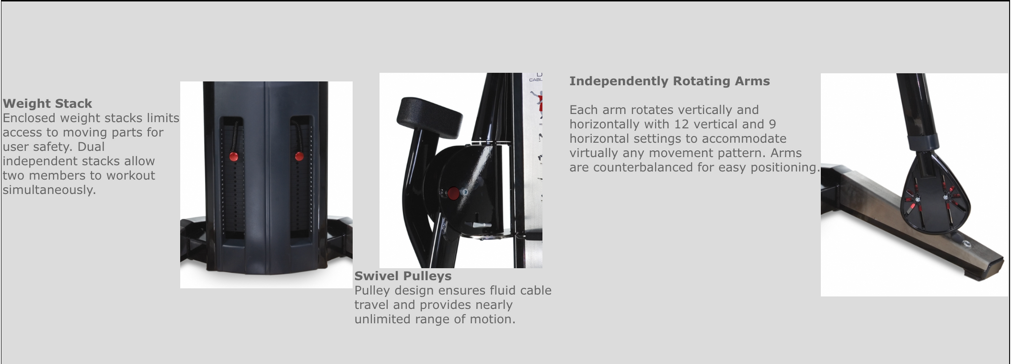 FreeMotion Genesis Dual Cable Cross