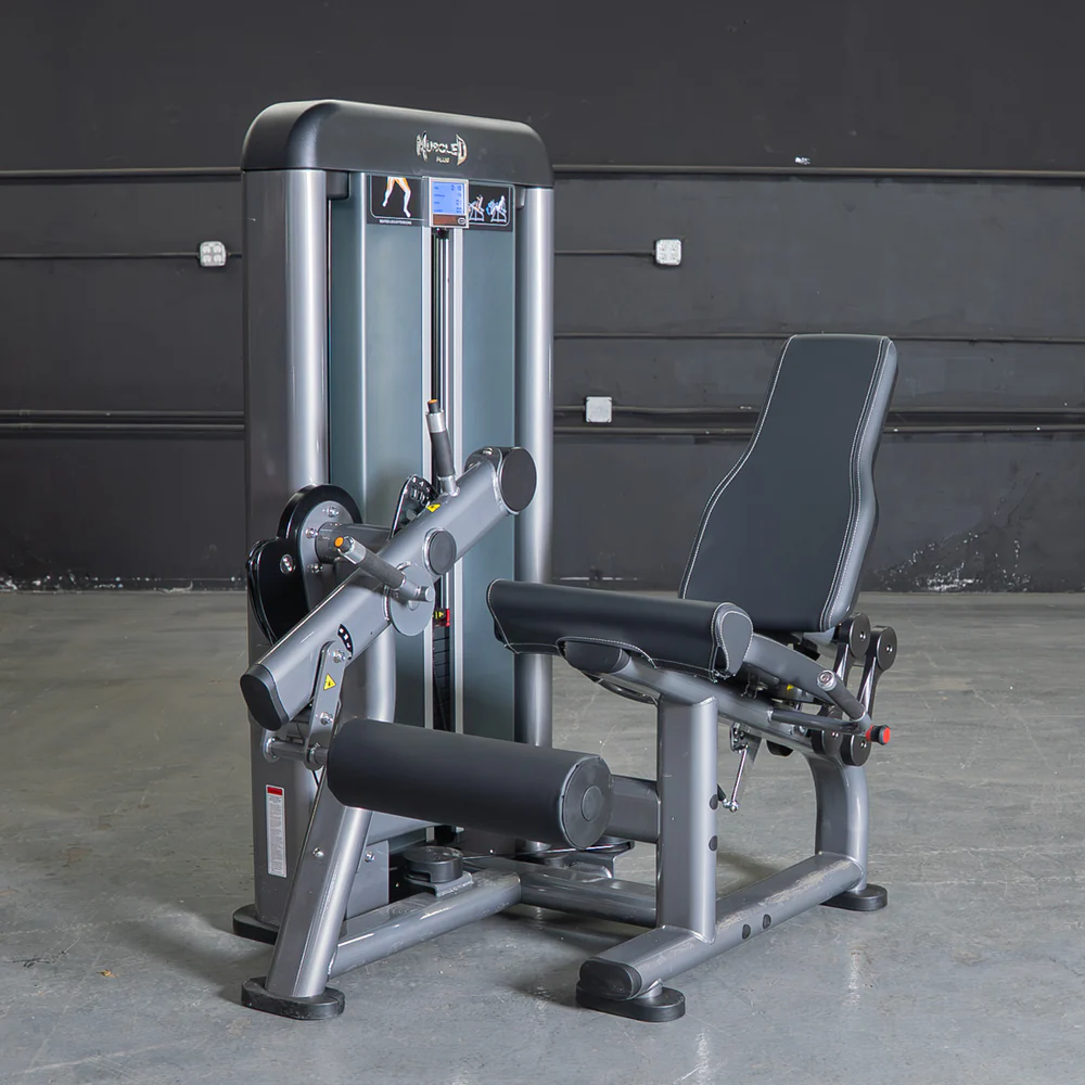 Elite Plus Leg Extension Machine | Muscle D Fitness