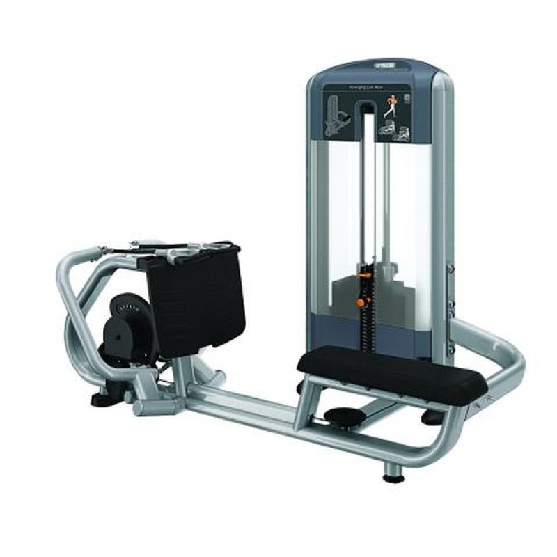 Precor Diverging Low Row